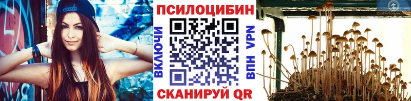 закладка  MEGA рабочий сайт  Псилоцибиновые грибы прущие грибы  Карабаново 