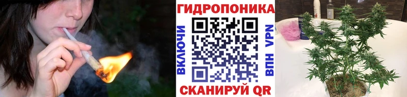 Марихуана марихуана Карабаново