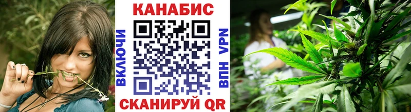 Каннабис OG Kush  Карабаново 
